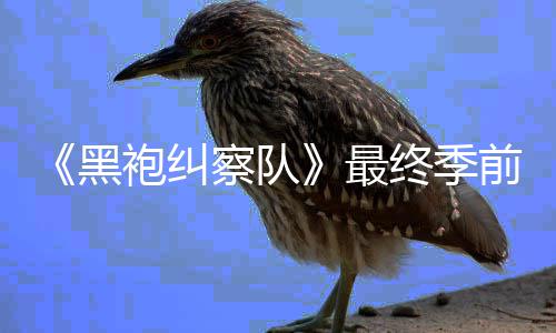 播袍纠逊平台首最终季黑前两察队已在亚马集现