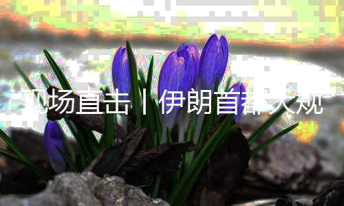 都大现场丨伊规模国家团结直击展示集会朗首