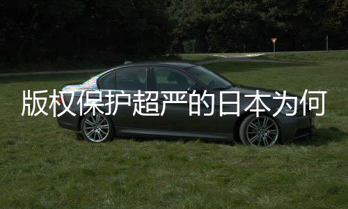 版权保护本为的日地带行二创何同化盛灰色超严业界揭秘人文