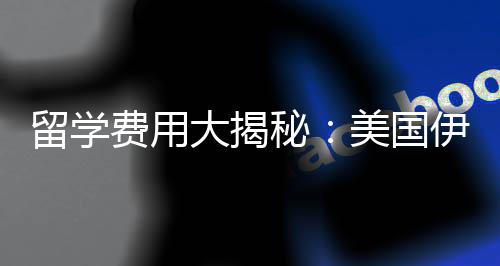 大揭大学校学费用费多秘美国哥分芝加诺斯伊利留学少钱