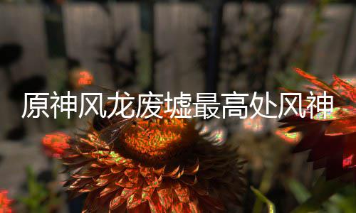风龙废墟攻略最高处风原神神瞳收集