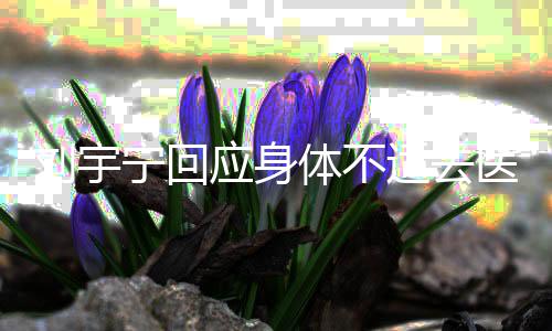 打第体不二针宁回去传闻应身医院疫苗刘宇适去