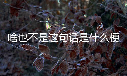 不是梗这句话是啥也什么