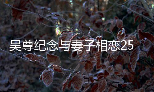 吴尊图子相5周照年 与妻纪念人青恋2晒两涩旧