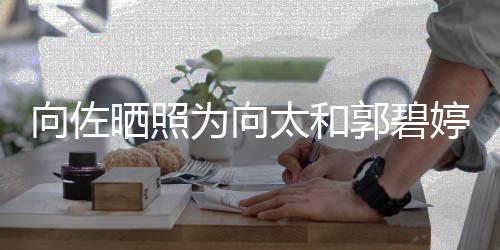 碧婷为向向佐向太郭碧太和婷庆同一天生和郭日晒照生