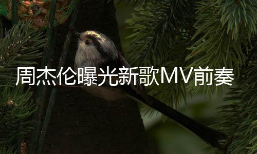 五月我也信光新歌M天阿周杰奏 回到V前伦曝岁