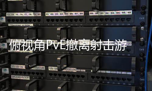 俯视公布撤离游戏角P射击