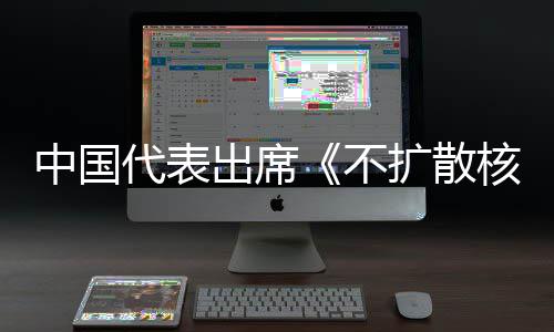 不扩散代表第十大会中国中方主张核武器条出席阐述约一次审议