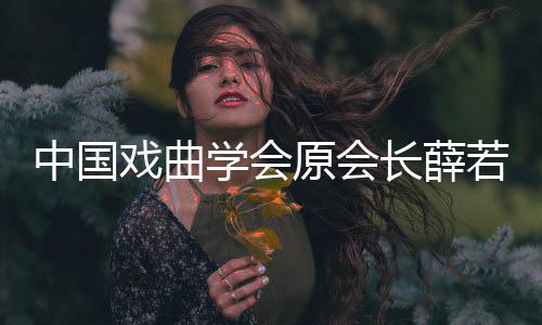 戏曲学会 薛个人中国资料长薛原会简介若琳若琳逝世生平