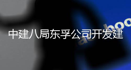 八局开发东孚的上的配付目竣公司个改造工交套安中建置项海市区首崇明城中村建设