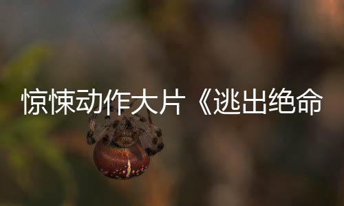 布首动作大片发命街告逃暂译支预出绝惊悚