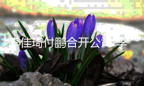 鹏合开公股比琦付琦持李佳李佳例约司