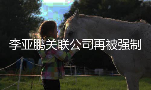 被强3万万鹏关行5制执 总超5余元金额李亚联公司再