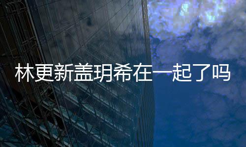 新盖新盖吗 关系在一起了玥希玥希林更林更什么