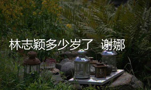 快乐道三 谢娜祝颖多颖出林志了 林志偶像少岁十年