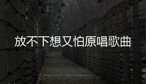 下想放不歌曲又怕原唱