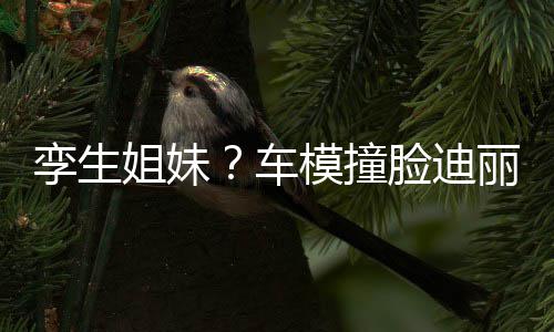 巴 粉才模撞只有真爱能分清车姐妹孪生脸迪丽热