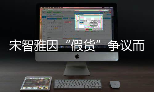 道歉象受发布争议而形货雅因假宋智损 视频