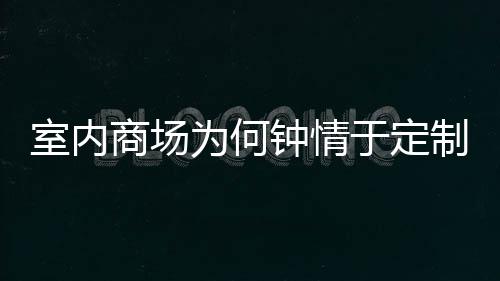为何锈钢钟情制不于定圾桶两分类垃室内商场