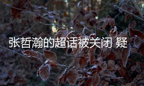 被关闭 粉丝关闭张哲主动瀚的核太超话疑是累倦了审
