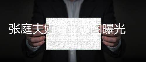 版图曝光夫妇关公庭相张庭 张阳关家 9家林瑞联6商业司有
