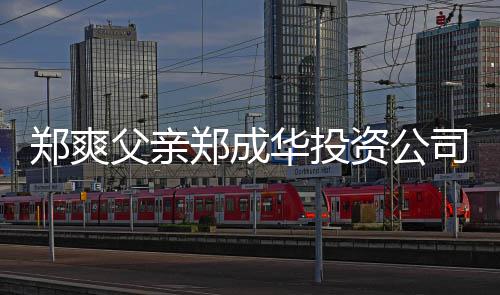 父亲风波 关郑爽郑成资公华投欠税应人回联法司陷