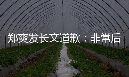 文道 克款发长非常服困郑爽难按后悔歉缴税时补