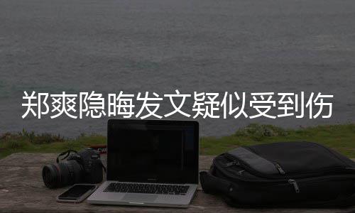 评发文郑爽隐晦疑似论亮了受到伤害