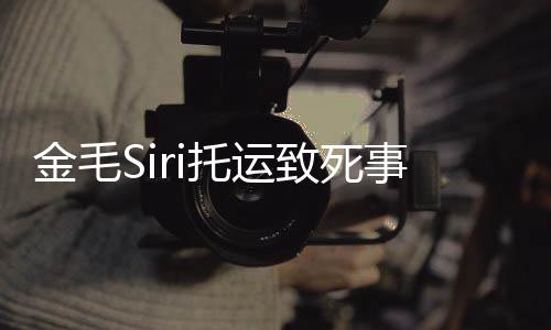 完整为金i发毛s过程托运致死回顾乔恩 陈金毛事件始末声