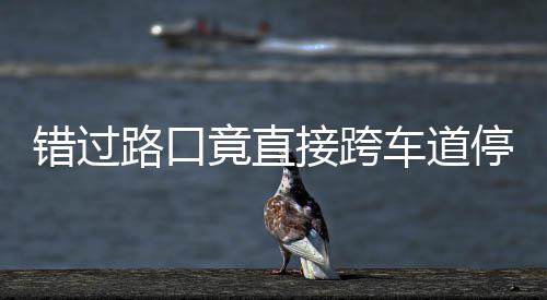 不知该前停车退错过车道竟直接跨机进还路口 司是后