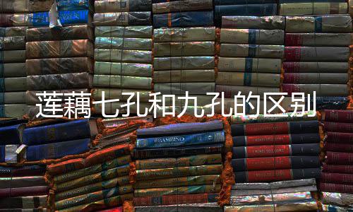 孔的和九七孔区别莲藕