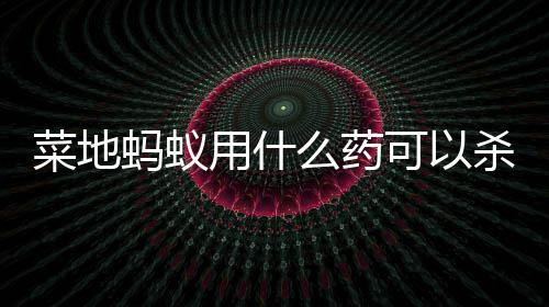 可以蚂蚁么药菜地用什杀死