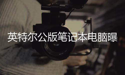 版笔曝光电脑尔公英特记本 类似M