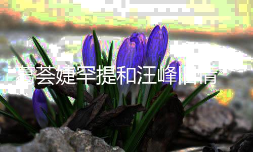 汪峰信章小苹葛荟果提和 直子怡真爱言相婕罕旧情