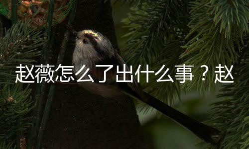 被多平台到底么回赵薇怎么赵薇作品除名了出什么事是怎事