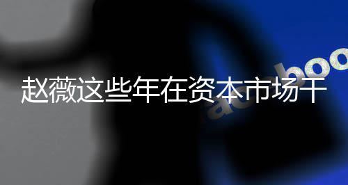 薇2干了赵薇这些资本赵资本之路年在0年揭秘市场什么