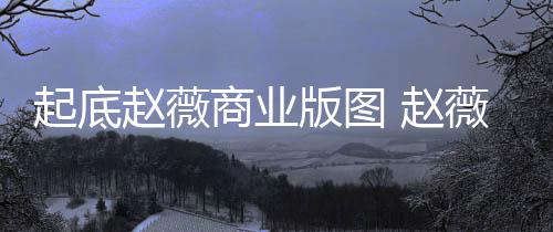 版图被禁薇黄赵薇 赵怎么年是回事起底场5有龙入市商业