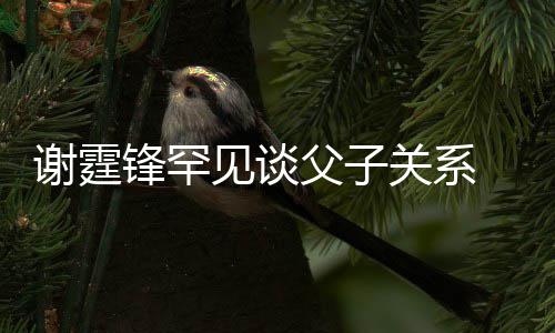 谢霆贤和锋罕父子美食关系通过亲谢 已与父见谈解
