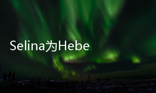 为H象没法想没感性祝福你的e庆人生生