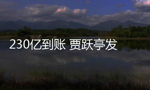 到账C调发财正式终结查也0亿跃亭 贾了